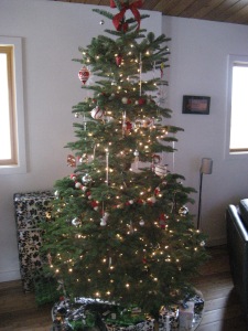 christmas-tree-2008